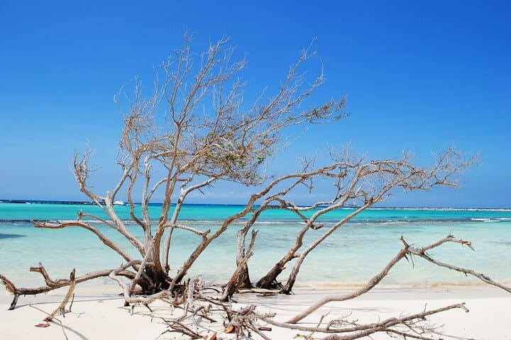 EZ Raider to Baby Beach & San Nicolas Murals — Aruba Southeast Electric 4x4 Tour photo 5