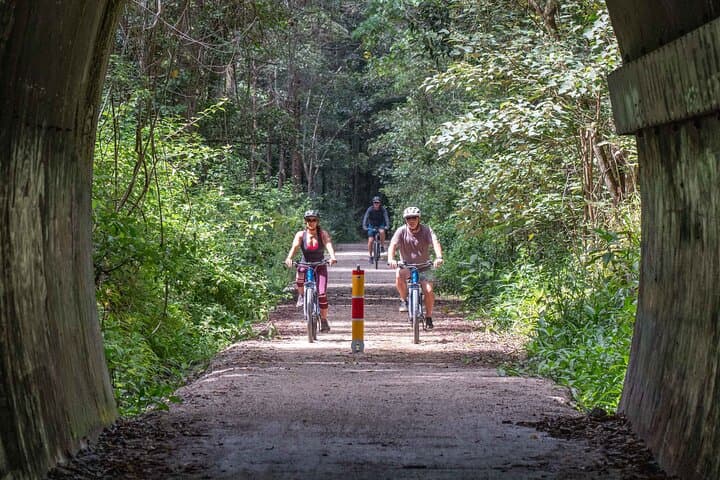 Byron Bay Glow Worm Tunnel E‑Bike Night Ride