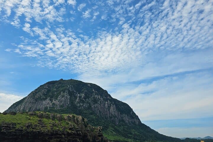 South Jeju Private Tour — Halla, Waterfalls & Yongmeori Coast photo 5