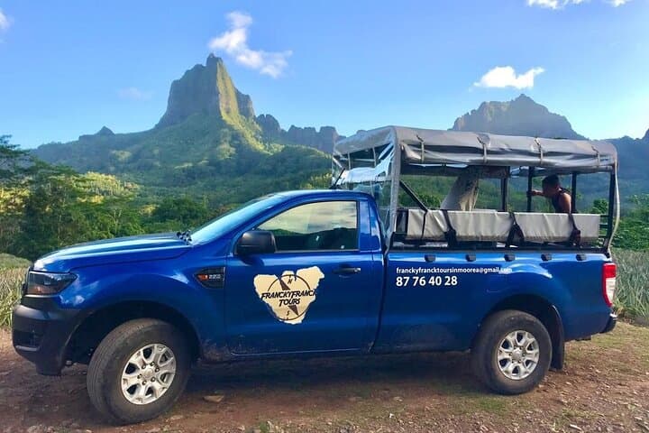 Moorea 4x4 Safari: Belvedere Lookout, Pineapple Fields, and Island Tastes