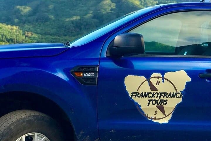 Private 4x4 Moorea Half-Day Tour: Belvedere Lookout, Pineapple Fields & Twin Bays