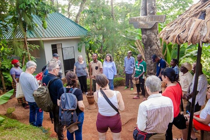 Materuni Waterfalls & Coffee Tour — Full-Day Private Experience from Moshi photo 3