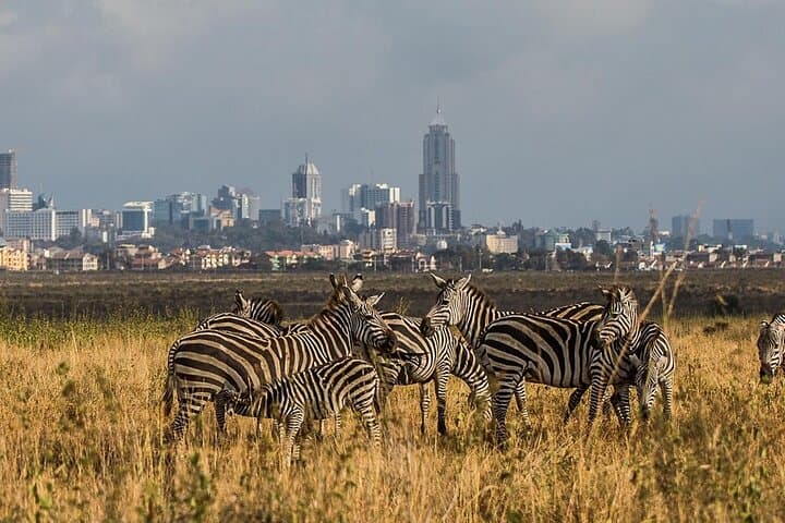 Explore Nairobi’s Unique Urban Wilderness and Cultural Heritage on a Full-Day Tour photo 4