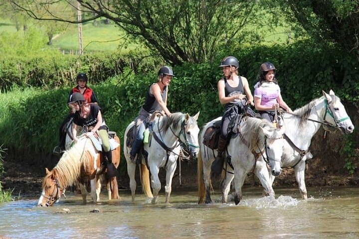 Gallop Belek: 3-Hour Horseback Ride Along Beaches, Pine Forests & Taurus Foothills photo 3