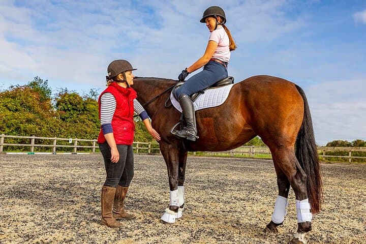 Gallop Belek: 3-Hour Horseback Ride Along Beaches, Pine Forests & Taurus Foothills