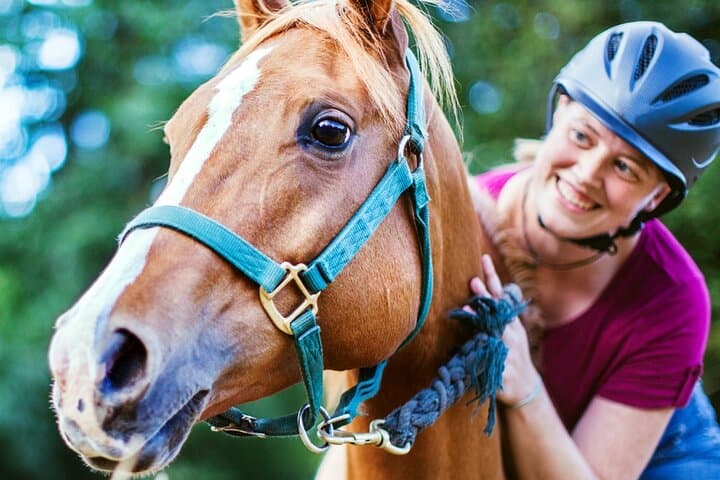 Gallop Belek: 3-Hour Horseback Ride Along Beaches, Pine Forests & Taurus Foothills photo 6
