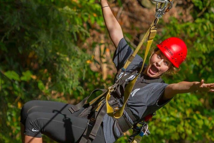 New River Gorge Zipline Tour: 9 Zips, Sky Bridges & Gorge Views photo 3
