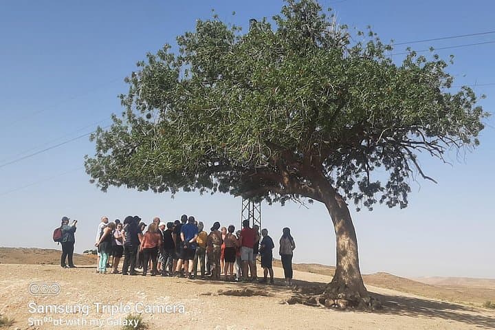 Classic Moroccan Highlights: Casablanca to Sahara & Atlas 6-Day Tour photo 3