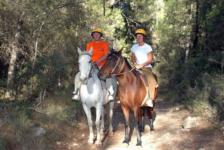 Side Horse Safari: Forest Trails and Beach Gallop with Hotel Transfer photo 3