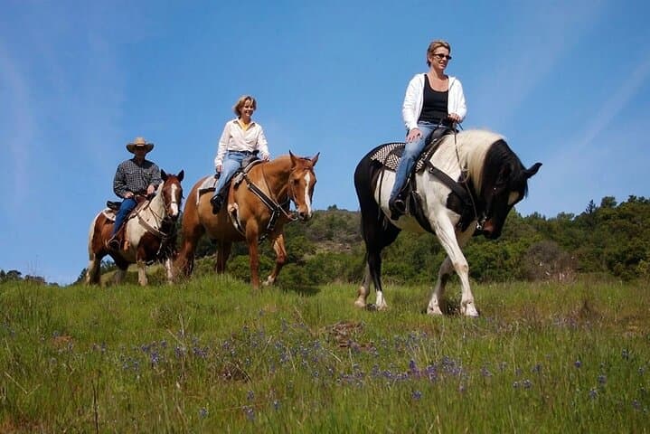 Ride Fethiye’s Coastal Hills: Guided Horse Safari with Pro Instructors photo 4