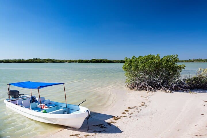 Rio Lagartos and Las Coloradas Pink Lakes Tour with Mayan Mud Bath photo 4