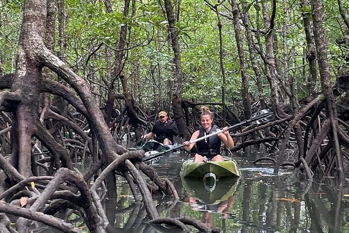 Kilim Geopark Mangrove Kayak Tour: Paddle Through Langkawi’s Limestone Caves & Wildlife