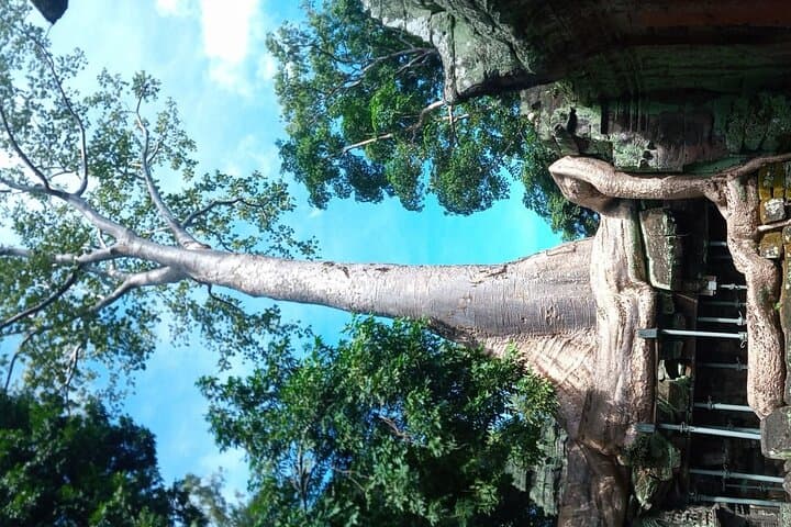 Exploring Angkor Wat: Practical Guide to the Ancient Temple Complex photo 5
