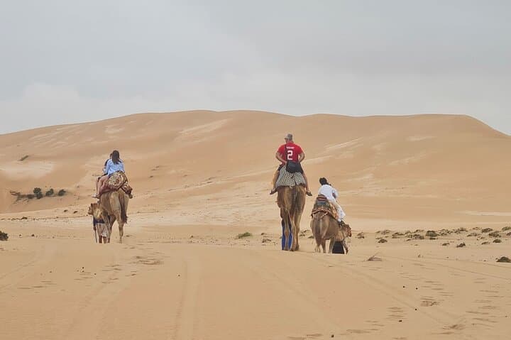 Half-Day Agadir Desert Adventure: Camel Ride, Quad Biking & Sandboarding