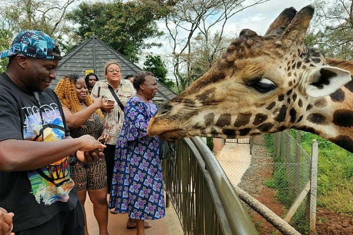 Giraffe Centre, Kazuri Beads & Karen Blixen Museum: Nairobi Day Tour photo 2