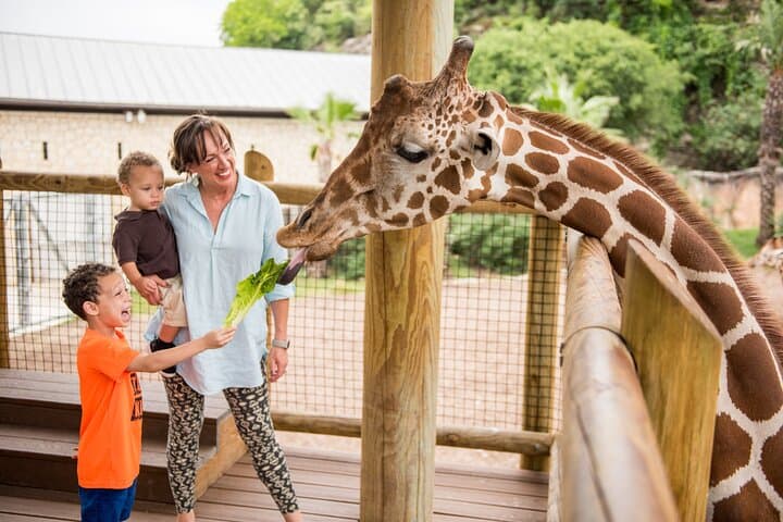 Explore San Antonio’s Top Attractions with CityPASS: A Practical Guide to Iconic Adventures photo 6