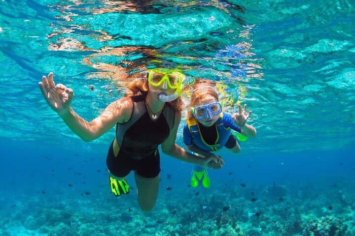 Private Half-Day Snorkel & Cruise on Shady Grady — Providenciales Reef Charters photo 2