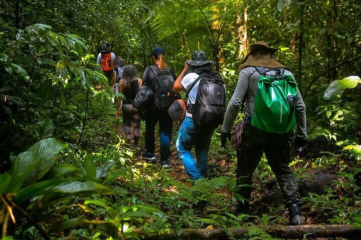 Bertioga Coastal Trail Adventure: Tower 47, Guaratuba & Elephant Trail Day Trip photo 2