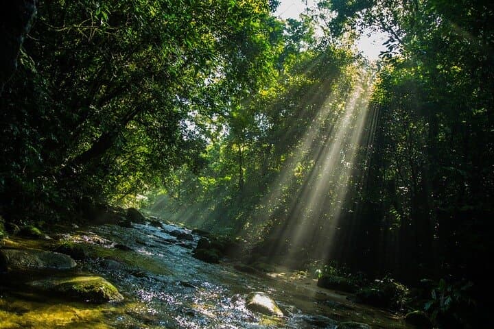 Bertioga Coastal Trail Adventure: Tower 47, Guaratuba & Elephant Trail Day Trip
