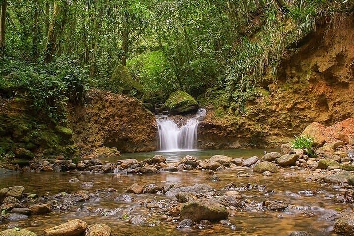 Bertioga Coastal Trail Adventure: Tower 47, Guaratuba & Elephant Trail Day Trip photo 3