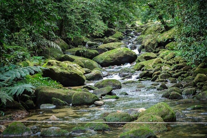 Bertioga Coastal Trail Adventure: Tower 47, Guaratuba & Elephant Trail Day Trip photo 6