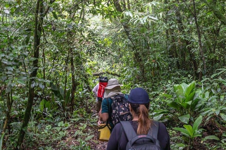 Bertioga Coastal Trail Adventure: Tower 47, Guaratuba & Elephant Trail Day Trip photo 4