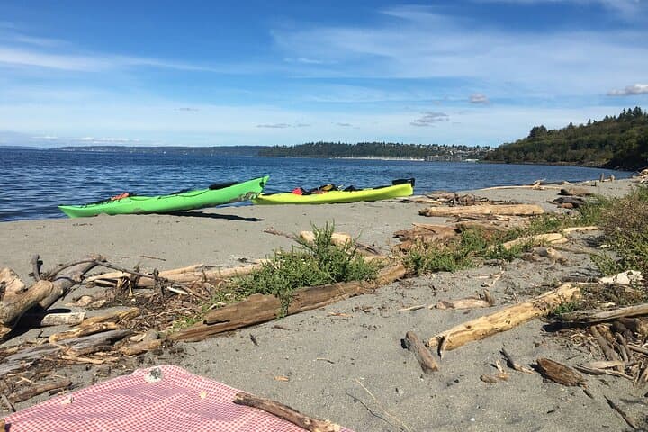 Shilshole to Discovery Point: Guided Kayak and Bluff Hike in Seattle