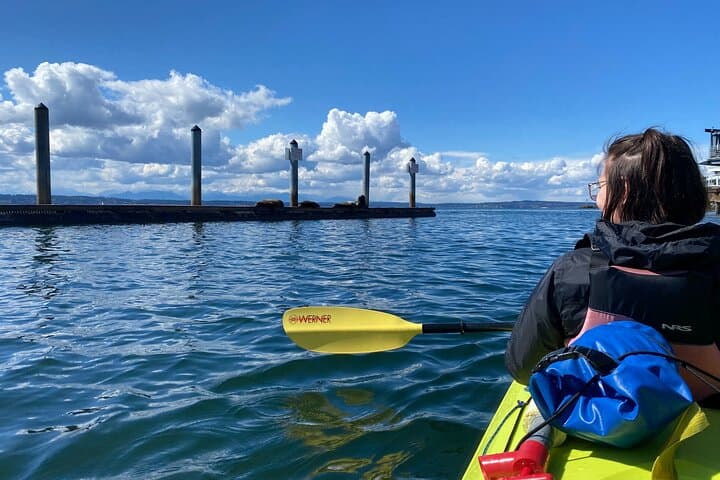 Shilshole to Discovery Point: Guided Kayak and Bluff Hike in Seattle photo 3
