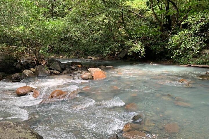 Waterfall Discovery & Zipline Adventure near Tamarindo — Costa Rica Jungle Tour photo 5