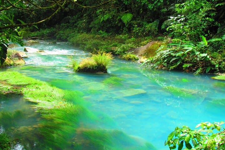 La Fortuna to Río Celeste: Waterfall Hike, River Tubing & Lunch photo 6