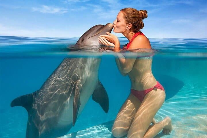 Hurghada Private 4-Hour Speedboat to Dolphin House, Magawish & Hula Hula photo 5