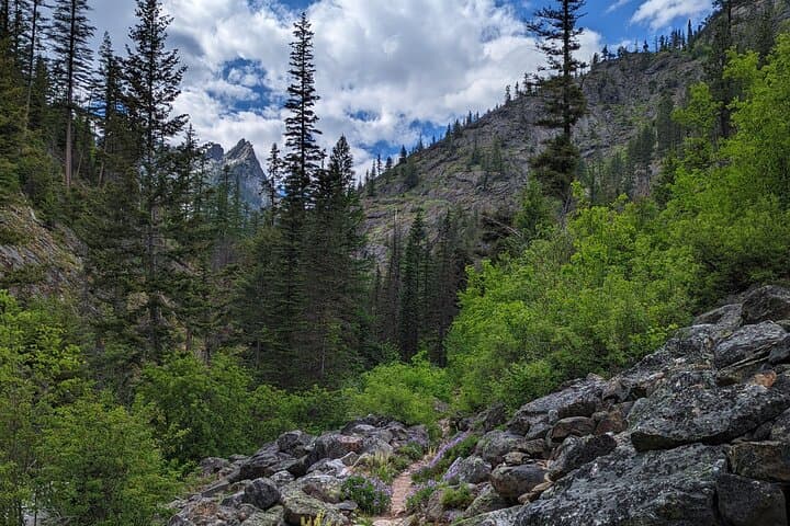Rent Ultralight Hiking Gear and Expert Trail Planning in the Bitterroot Mountains photo 4
