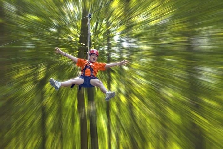 Wetland Zip Tour Virginia Beach — Treetop Ziplining Over Coastal Wetlands photo 1