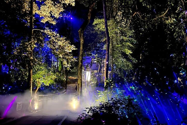 Maha Tower Sunset & Dream Forest Langkawi Night Walk — Private Tour Guide photo 4