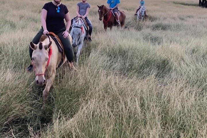 Horseback Riding Through Guanacaste’s Tropical Forest: Beach-to-Ranch Trails photo 2