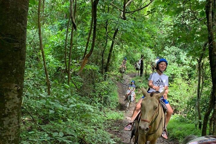 Horseback Riding Through Guanacaste’s Tropical Forest: Beach-to-Ranch Trails photo 3