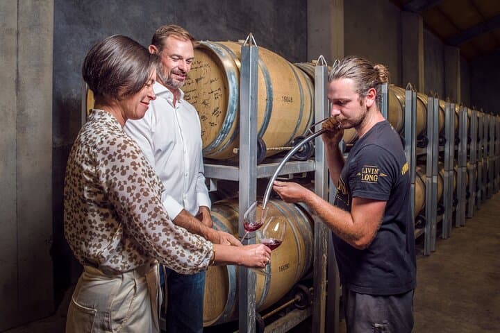 Marlborough Afternoon Wine Tour — 4-Hour Cellar Door Cuisine & Tastings photo 2