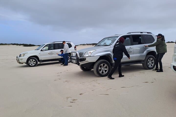 Cape Town Sand Dune Safari: Half-Day Land Cruiser Adventure photo 4