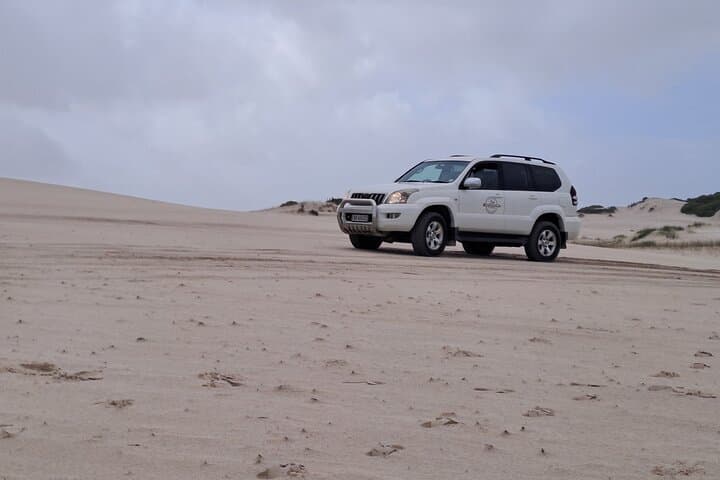 Cape Town Sand Dune Safari: Half-Day Land Cruiser Adventure photo 5