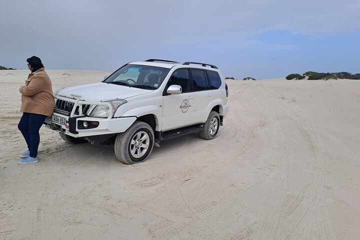 Cape Town Sand Dune Safari: Half-Day Land Cruiser Adventure photo 6