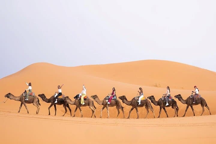 3-Day Fes to Marrakech Desert Tour: Erg Chebbi Camel Trek & Camp photo 3