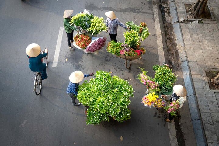 Vietnam Delights: 10-Day North-to-South Cultural & Nature Tour photo 4