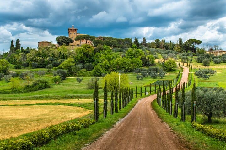 Half-Day Chianti Wine Tour from Florence: Tastings & Monteriggioni