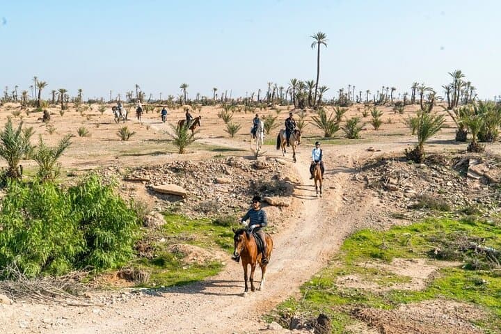 Private Horseback Ride through Marrakech's Palmeraie with Berber Tea