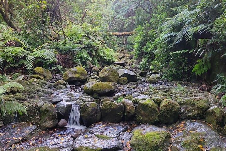 Caldeirão Verde Self-Guided Hike from Queimadas — Transfer, Tunnels and Laurissilva Trails photo 6