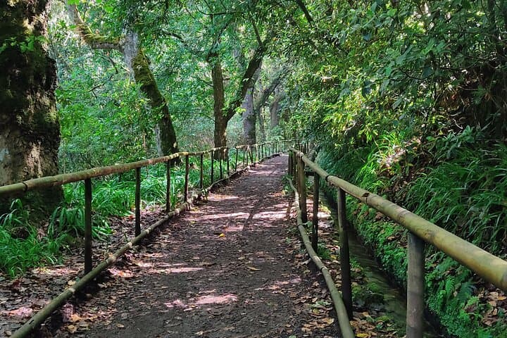 Caldeirão Verde Self-Guided Hike from Queimadas — Transfer, Tunnels and Laurissilva Trails