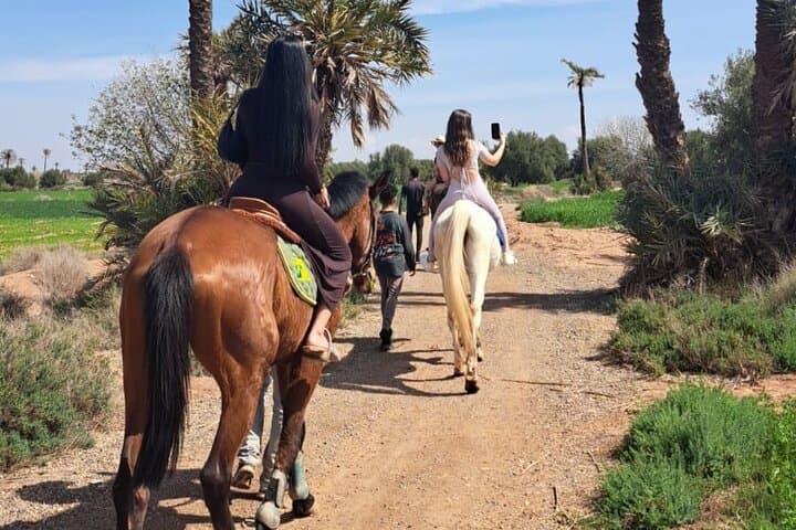 Private Horseback Ride through Marrakech's Palmeraie with Berber Tea photo 2