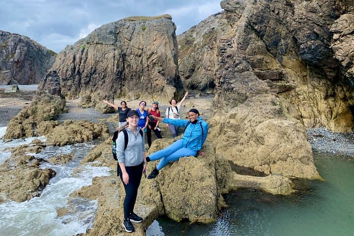 Howth Safari: South-Facing Cliff Hike Over Dublin Bay photo 6