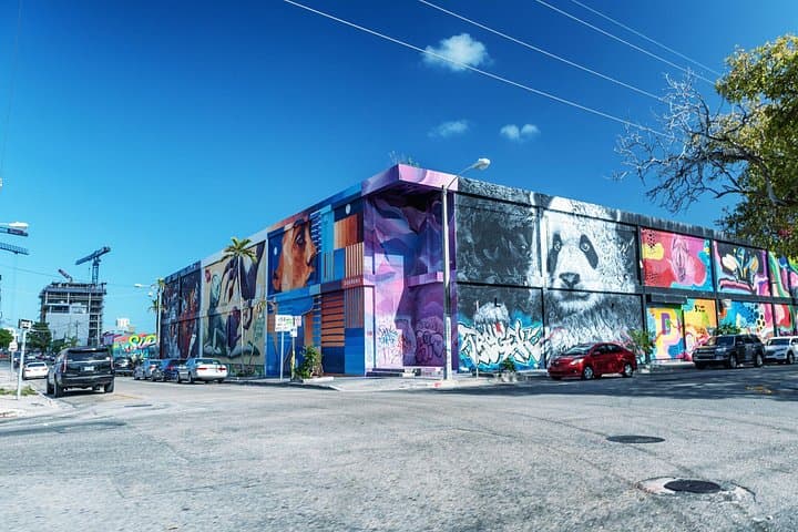 Miami Street Art Private Walking Tour: Wynwood & Design District Experience photo 5