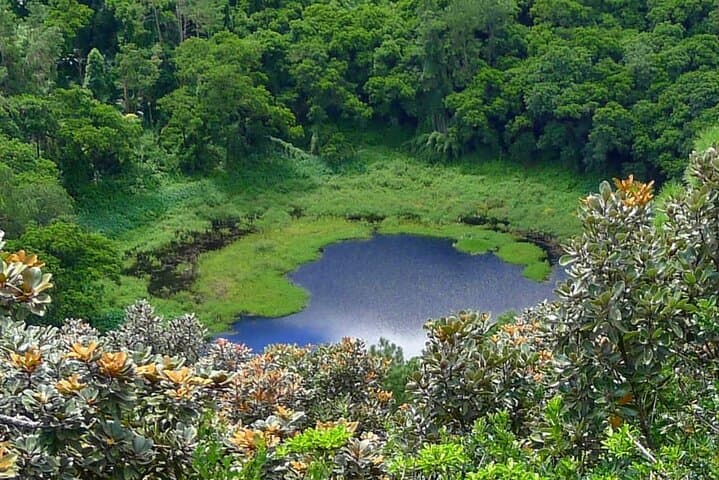 Scenic South Mauritius Full-Day Private Tour to Chamarel, Black River & Grand Bassin photo 3